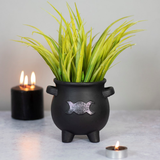 black terracotta cauldron shaped pot adorned with a silver triple moon design shown with green plant and candles 