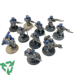 Painted Imperial Guardsmen (Trade In)