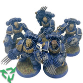 Ultramarines Veteran Marines - P...