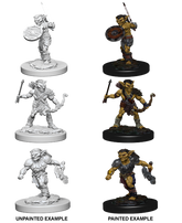 WizKids D&D Nolzur's Mar...