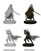 Wizkids Pathfinder Deep Cuts Min...