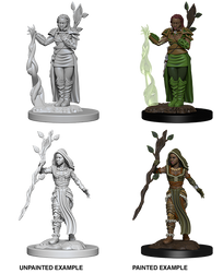 D&D Nolzur’s Marvelous Minis: Human Druid (SKU: 72640)