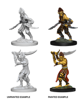 Wizkids D&D Nolzur's Mar...