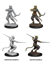 WizKids D&D Nolzur's Mar...