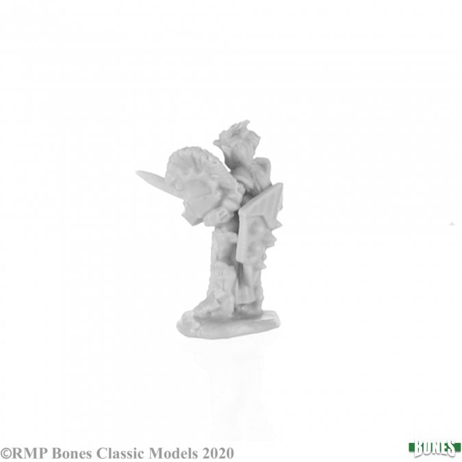 77681 - BLINK BERENWICKET, GNOME (DHB)