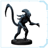 Alien Miniature - Aliens - Another Glorious Day In The Corps Board Game