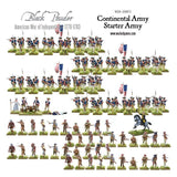 Continental Army Starter Army Painted Examples