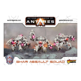 Ghar Assault Squad Beyond The Ga...