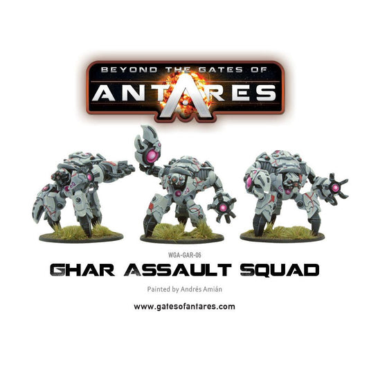 Ghar Assault Squad Beyond The Ga...