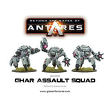 Painted Ghar Assault Squad Example