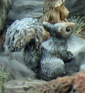 Squirrel 