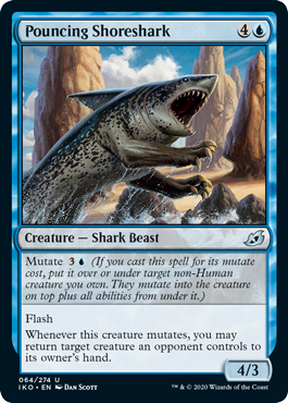 MTG Singles Ikoria | Pouncing Shoreshark 064