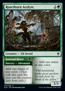 Rosethorn Acolyte // Seasonal Ritual Throne of Eldraine - 174 Non-Foil