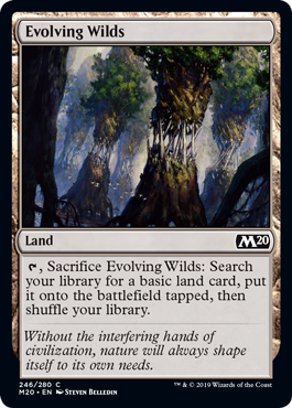 Evolving Wilds MTG Core 2020 - 246 Non-Foil