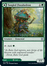 Tangled Florahedron // Tangled V...