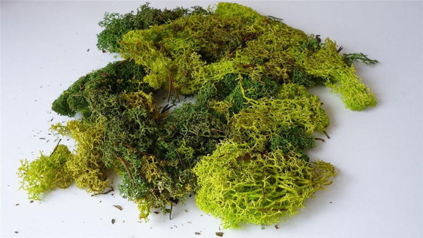 Javis Scenics: Bulk Pack Green Lichen (JBULKG)