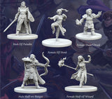 Fantasy Series 1 Hero Miniatures
