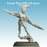 Female Wood Elf with Spear - Spe...