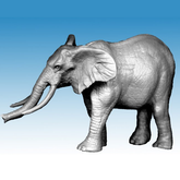 African Elephant - North Star - ...