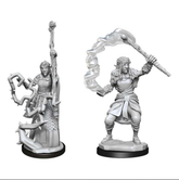 Firbolg Druid