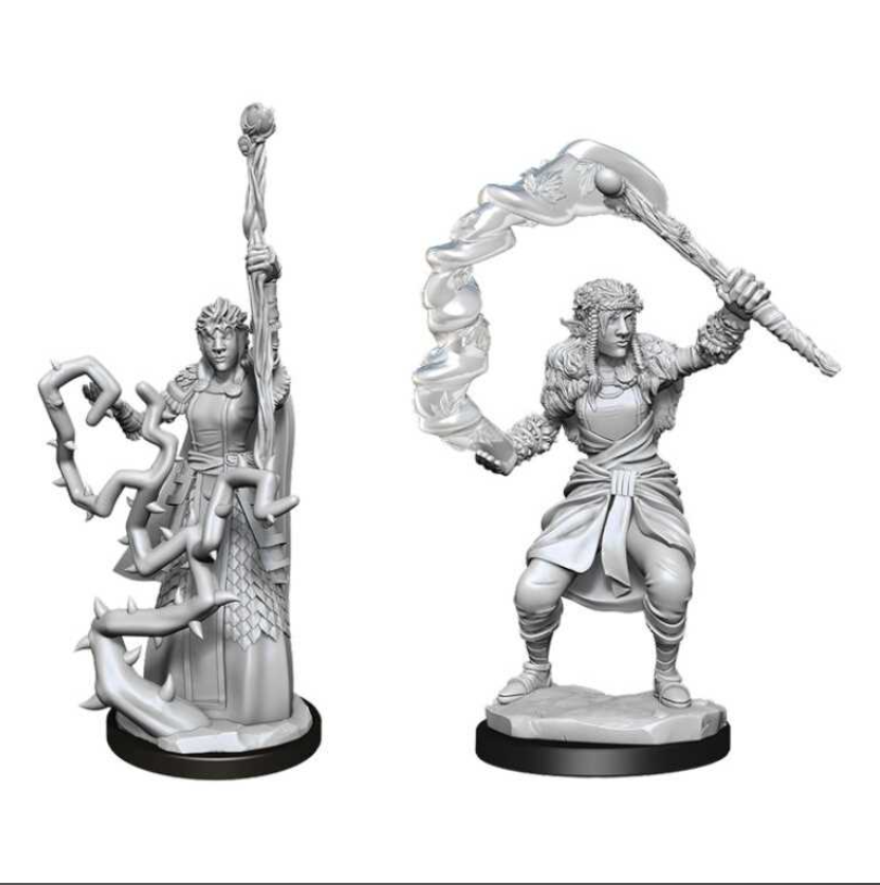 Firbolg Druid