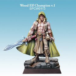 Wood Elf Champion v.1 - SpellCrow - SPCW0113