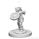 WizKids D&D Nolzur's Marvelous Miniatures - Goblins 72556
