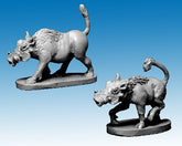 North Star Africa! - AA08 Wartho...