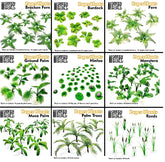 Paper Plants - Green Stuff World