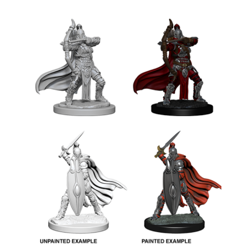 WizKids Pathfinder Deep Cuts Miniatures - Female Knights / Gray Maidens 73425