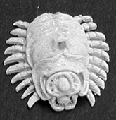 02844: Acid Beetles by Derek Sch...