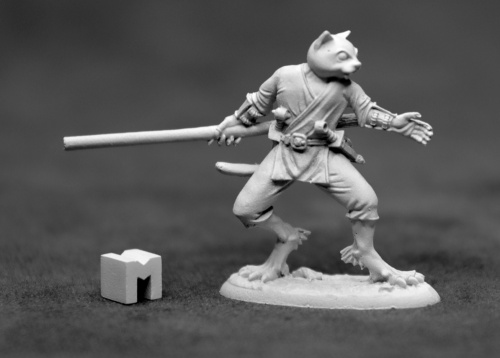 03923: Swiftpaw, Catfolk Monk by Glenn Harris